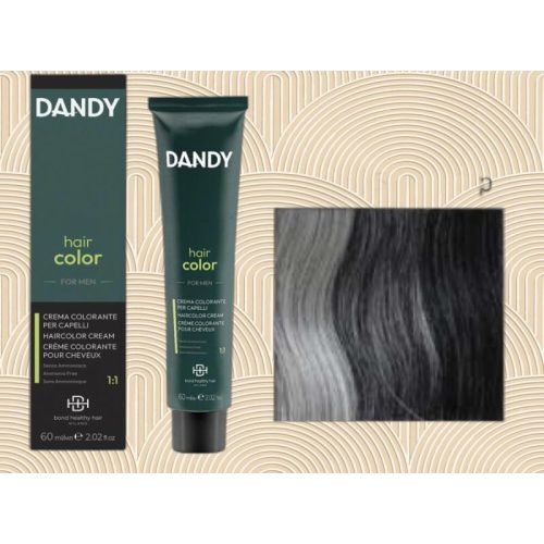 Dandy Férfi hajszínezõ 2 60ml termék képe