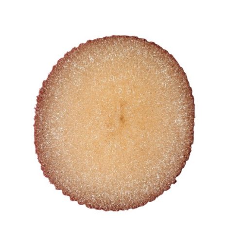BYOU kontyalátét szőke 12cm