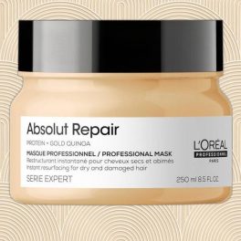 L'oreal Abs.Rep.Pak. 250ml - Hajregeneráló pakolás