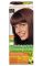 Garnier color Natural 6.25