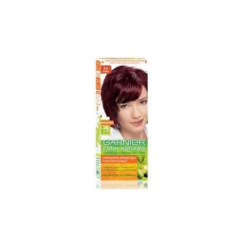 Garnier Color Naturals 4.6 hajfesték