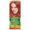 Garnier color nat. 7.4