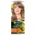 Garnier color naturals 7.1 hajfesték