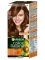 Garnier color naturals 4.3