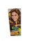 Garnier Color naturals 6