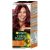 Garnier Color Naturals 4.62 hajfesték