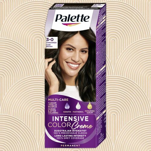 Palette Color 3-0 (N2) hajfesték