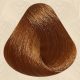 Imperity Singularity 8.03 hajfesték