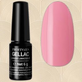 Profinails gel lac 6g 64 műkörömzselé
