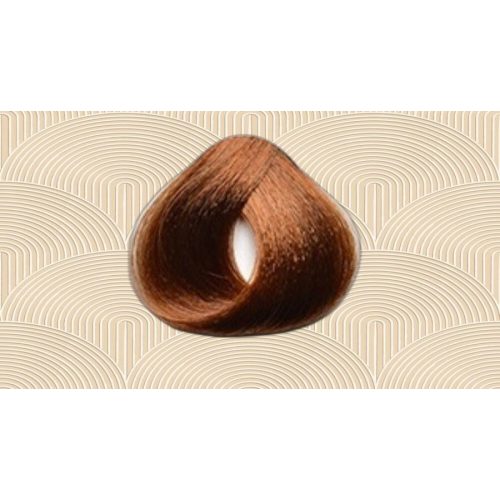 Colorianne pr.8/40 100ml hajfesték