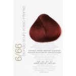 Colorianne pr.6/66 100ml hajfesték