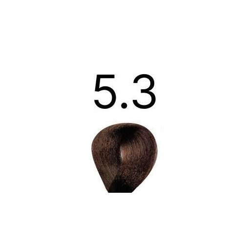 Bes Hi-Fi 5.3 hajfesték