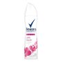 Rexona spray pink blush150ml